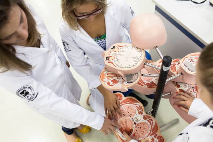 Erros médicos podem ser evitados com mais investimentos em laboratórios de anatomia